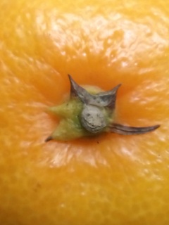 �ȁ[����Ȃ�