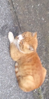 �K��������