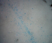snow
