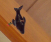 �G�ߊO��