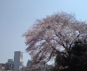 �tࣖ�