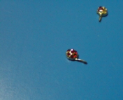 �q�g���ĕ|��