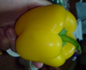 paprica
