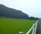 run�I�I�I