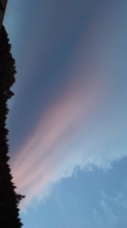 beautiful world