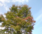 ���낻��H