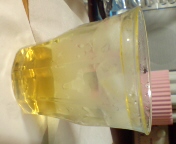 �C���g�����I�̈�t