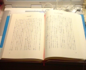���̔��